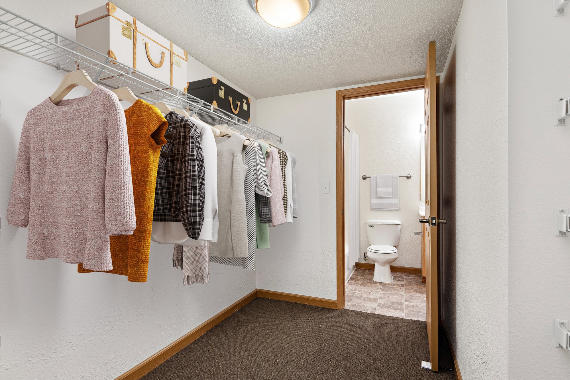 MR 2 BR 2LV APT - closet